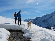 30 Laika abbagliata dal sole su neve 